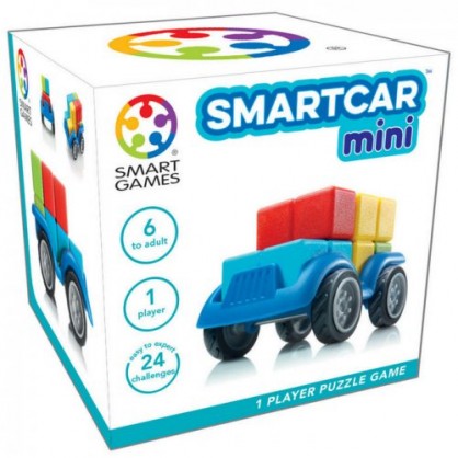 Smart Car Mini