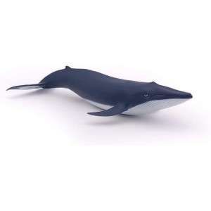 56041 Bebe Baleine Bleue